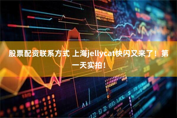股票配资联系方式 上海jellycat快闪又来了！第一天实拍！